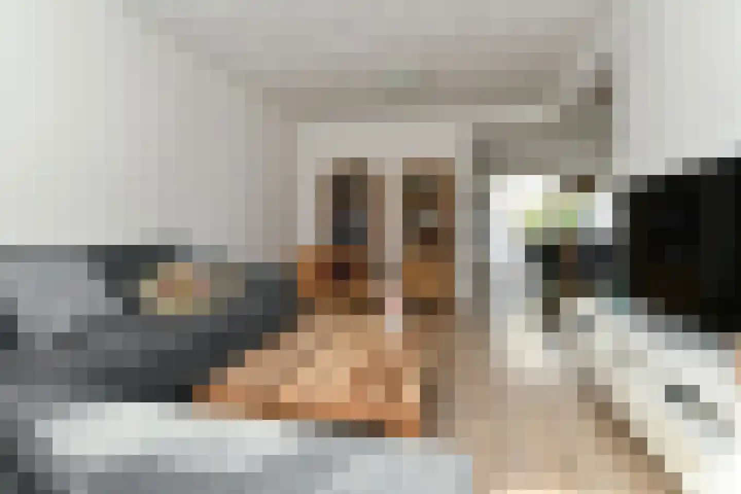 Hendrik Mandestraat 6 Eindhoven thumbnail 10