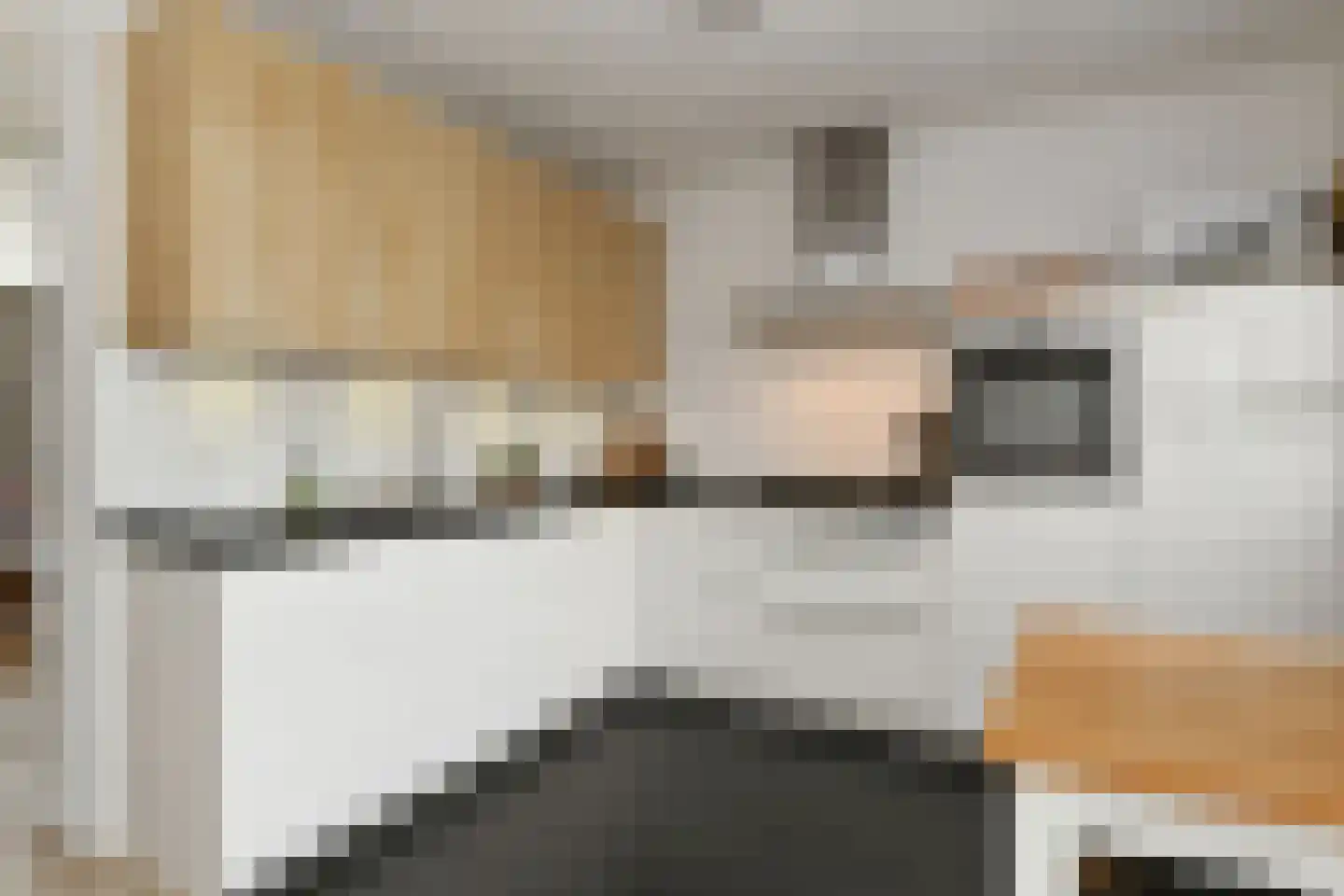 Hendrik Mandestraat 6 Eindhoven thumbnail 15