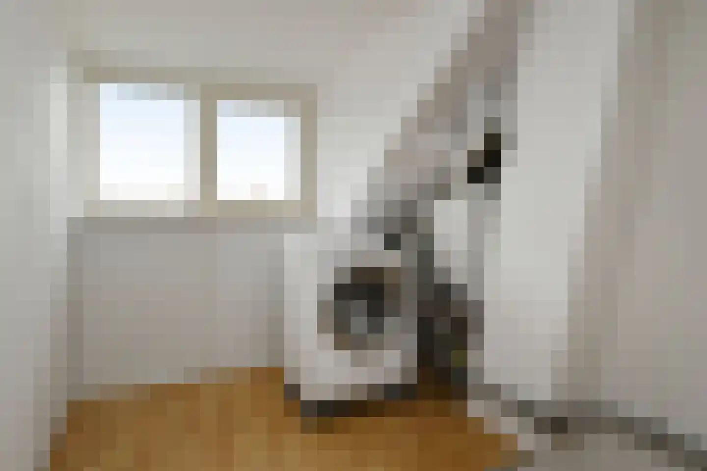 Hendrik Mandestraat 6 Eindhoven thumbnail 24