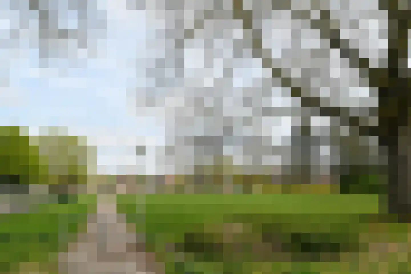Hendrik Mandestraat 6 Eindhoven thumbnail 31