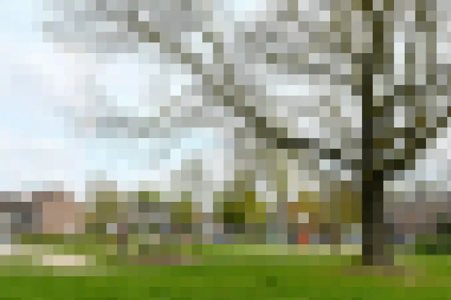 Hendrik Mandestraat 6 Eindhoven thumbnail 32