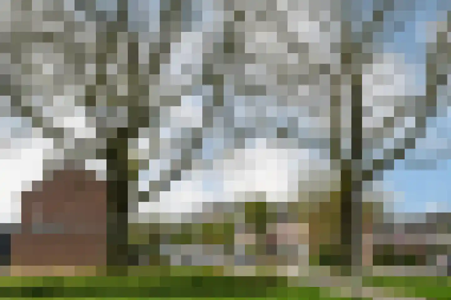 Hendrik Mandestraat 6 Eindhoven thumbnail 34