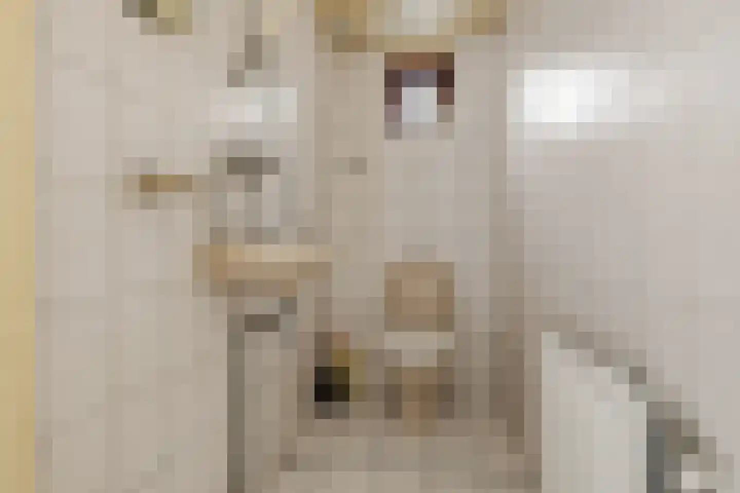 Hendrik Mandeweg 6 Beverwijk thumbnail 16