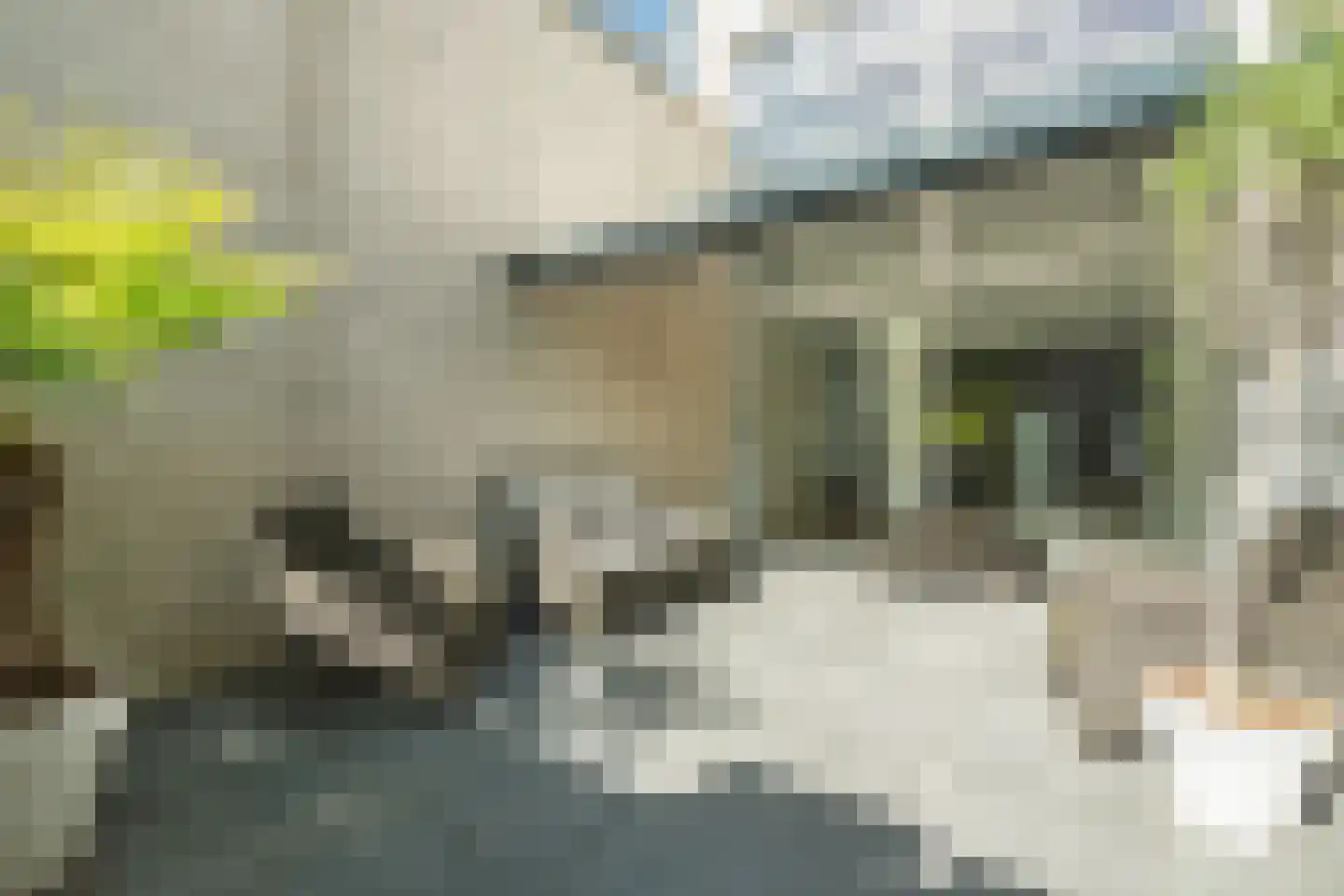 Hendrik Marsmanhove 23 Nieuwegein thumbnail 5