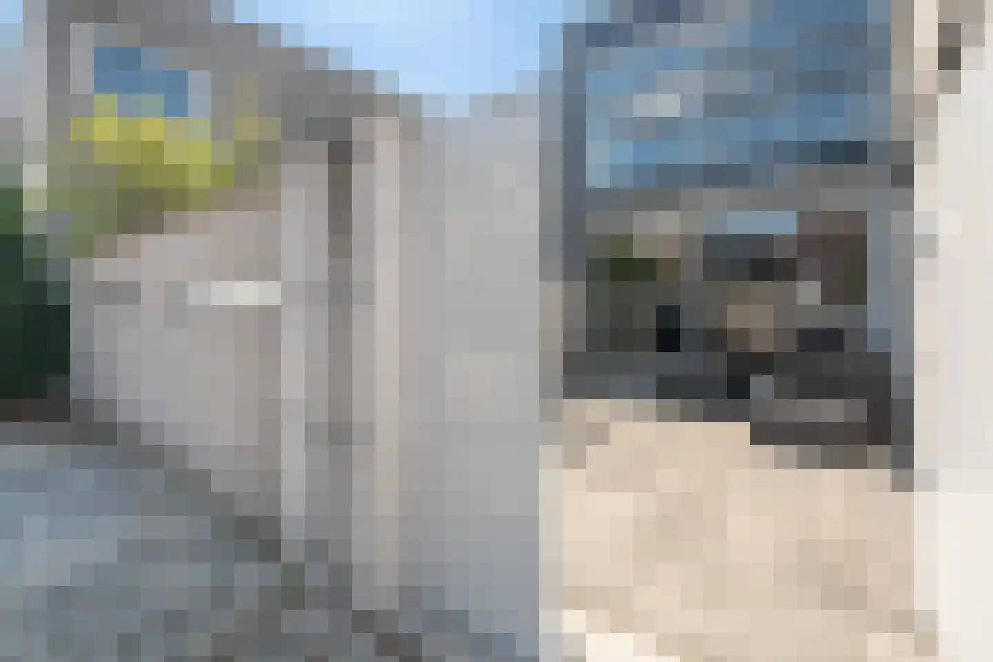 Hendrik Marsmanhove 35 Nieuwegein thumbnail 31