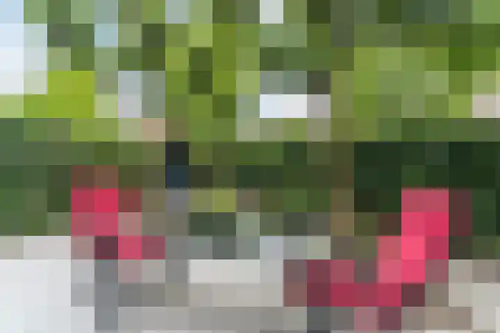 Hendrik Marsmanlaan 13 De Meern thumbnail 12