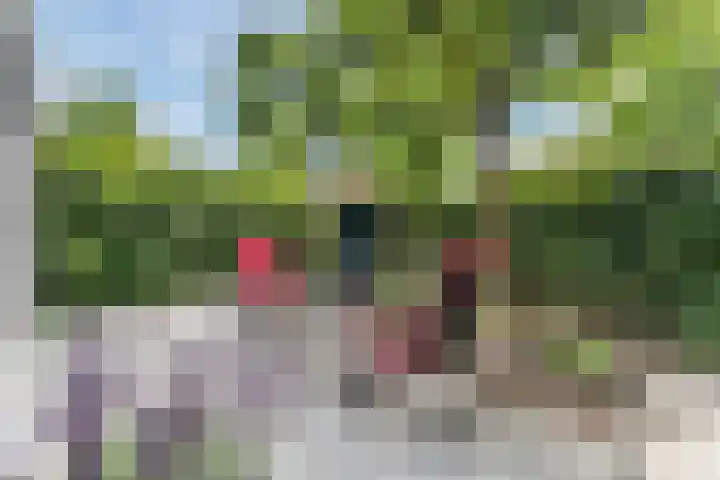 Hendrik Marsmanlaan 13 De Meern thumbnail 13