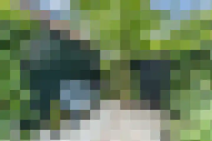 Hendrik Marsmanlaan 13 De Meern thumbnail 15