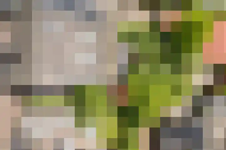 Hendrik Marsmanlaan 13 De Meern thumbnail 16