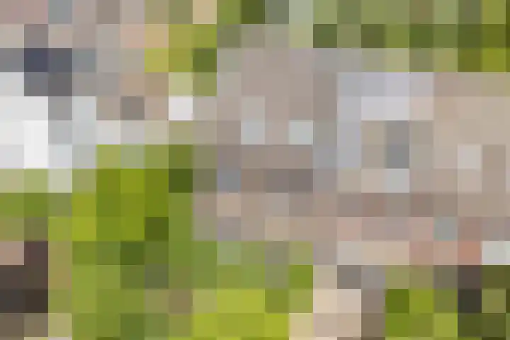 Hendrik Marsmanlaan 13 De Meern thumbnail 17