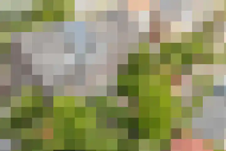 Hendrik Marsmanlaan 13 De Meern thumbnail 18
