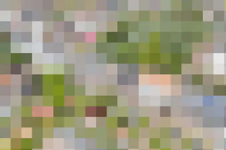 Hendrik Marsmanlaan 13 De Meern thumbnail 19