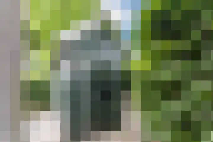 Hendrik Marsmanlaan 13 De Meern thumbnail 23