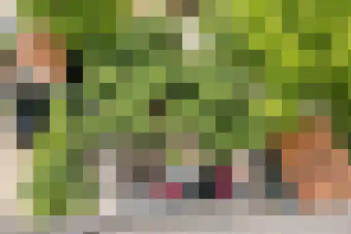 Hendrik Marsmanlaan 13 De Meern thumbnail 47
