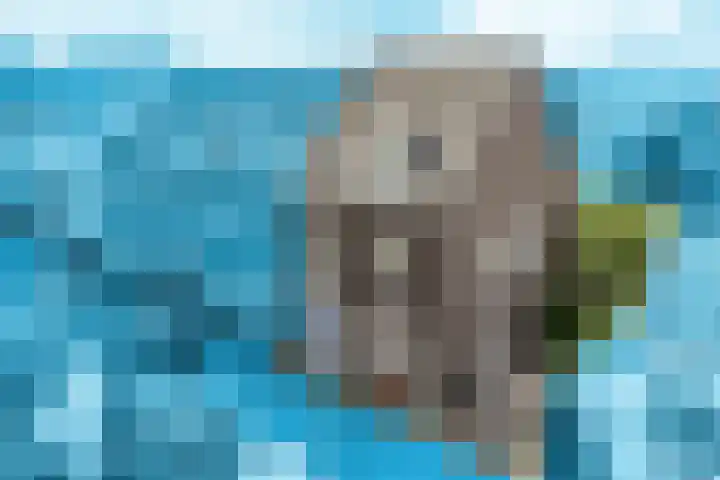 Hendrik Marsmanlaan 13 De Meern thumbnail 62