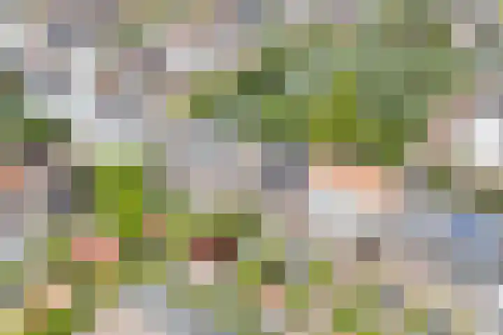 Hendrik Marsmanlaan 13 De Meern thumbnail 64