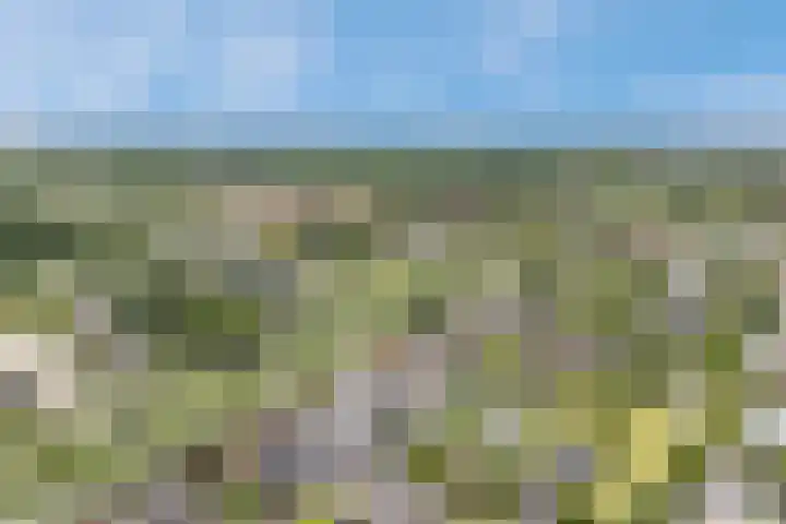 Hendrik Marsmanlaan 13 De Meern thumbnail 66