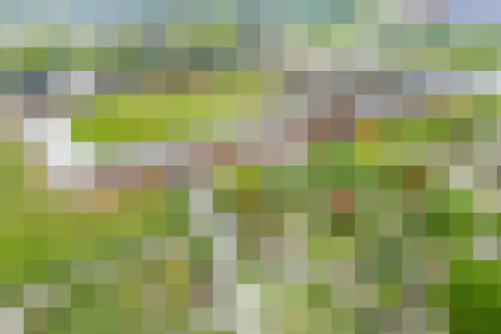Hendrik Marsmanlaan 13 De Meern thumbnail 69