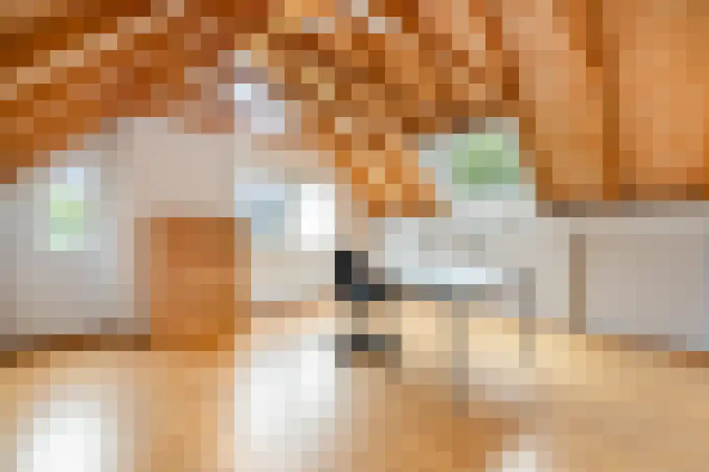 Hendrik Marsmanlaan 13 Delft thumbnail 44