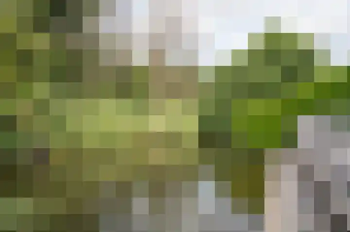 Hendrik Marsmanplein 17 Gorinchem thumbnail 31
