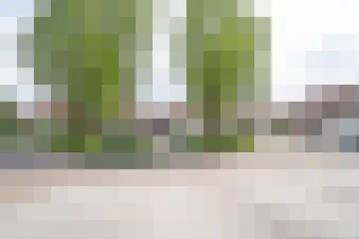 Hendrik Marsmanplein 17 Gorinchem thumbnail 34