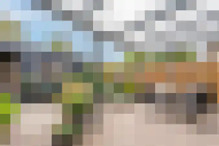 Hendrik Marsmanplein 6 Gorinchem thumbnail 4