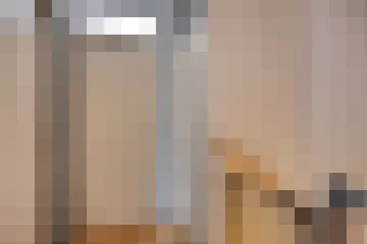 Hendrik Mesdagstraat 11 Helmond thumbnail 22