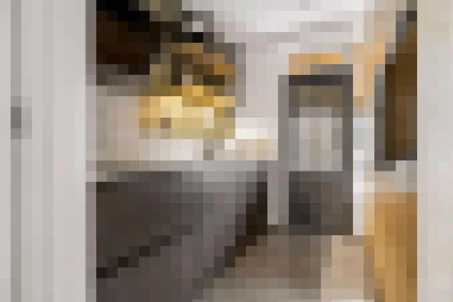 Hendrik Mesdagstraat 8 Helmond thumbnail 12