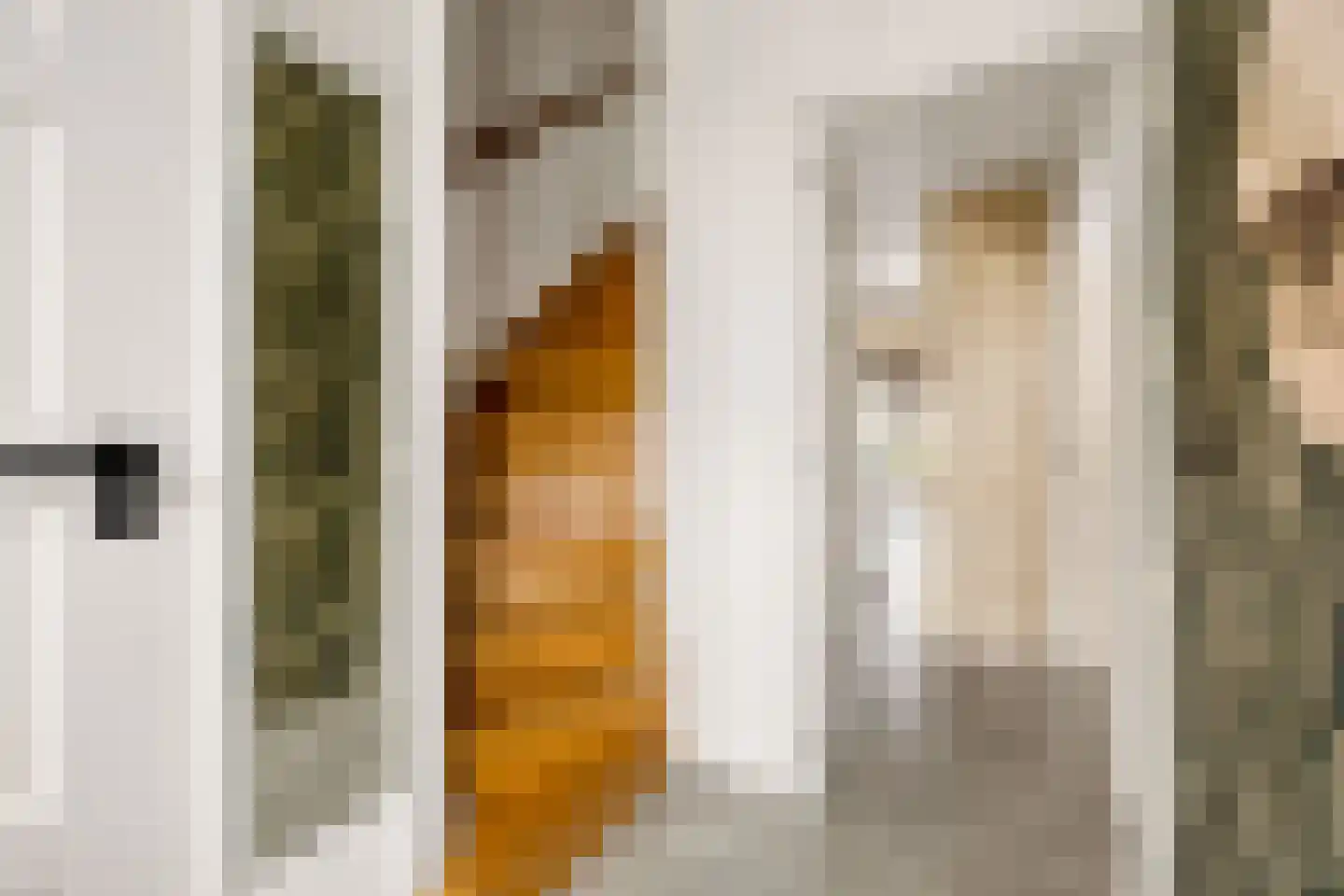 Hendrik Mesdagstraat 8 Helmond thumbnail 15