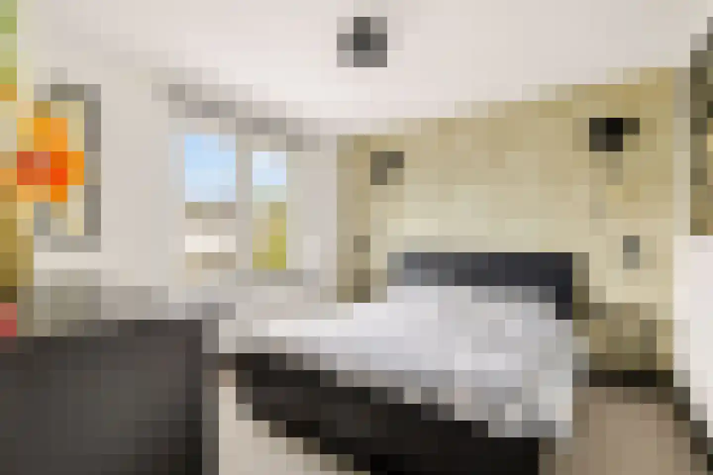 Hendrik Mesdagstraat 8 Helmond thumbnail 16