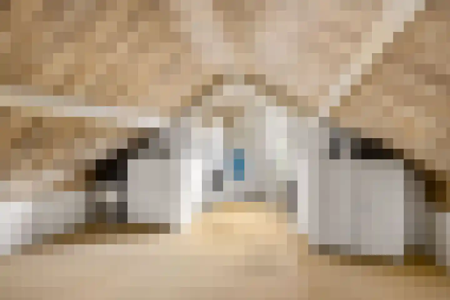 Hendrik Mesdagstraat 8 Helmond thumbnail 25