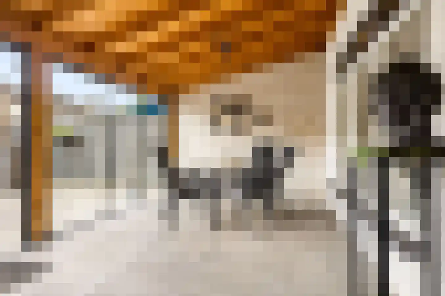 Hendrik Mesdagstraat 8 Helmond thumbnail 26