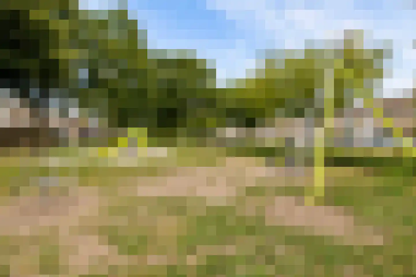 Hendrik Mesdagstraat 8 Helmond thumbnail 32
