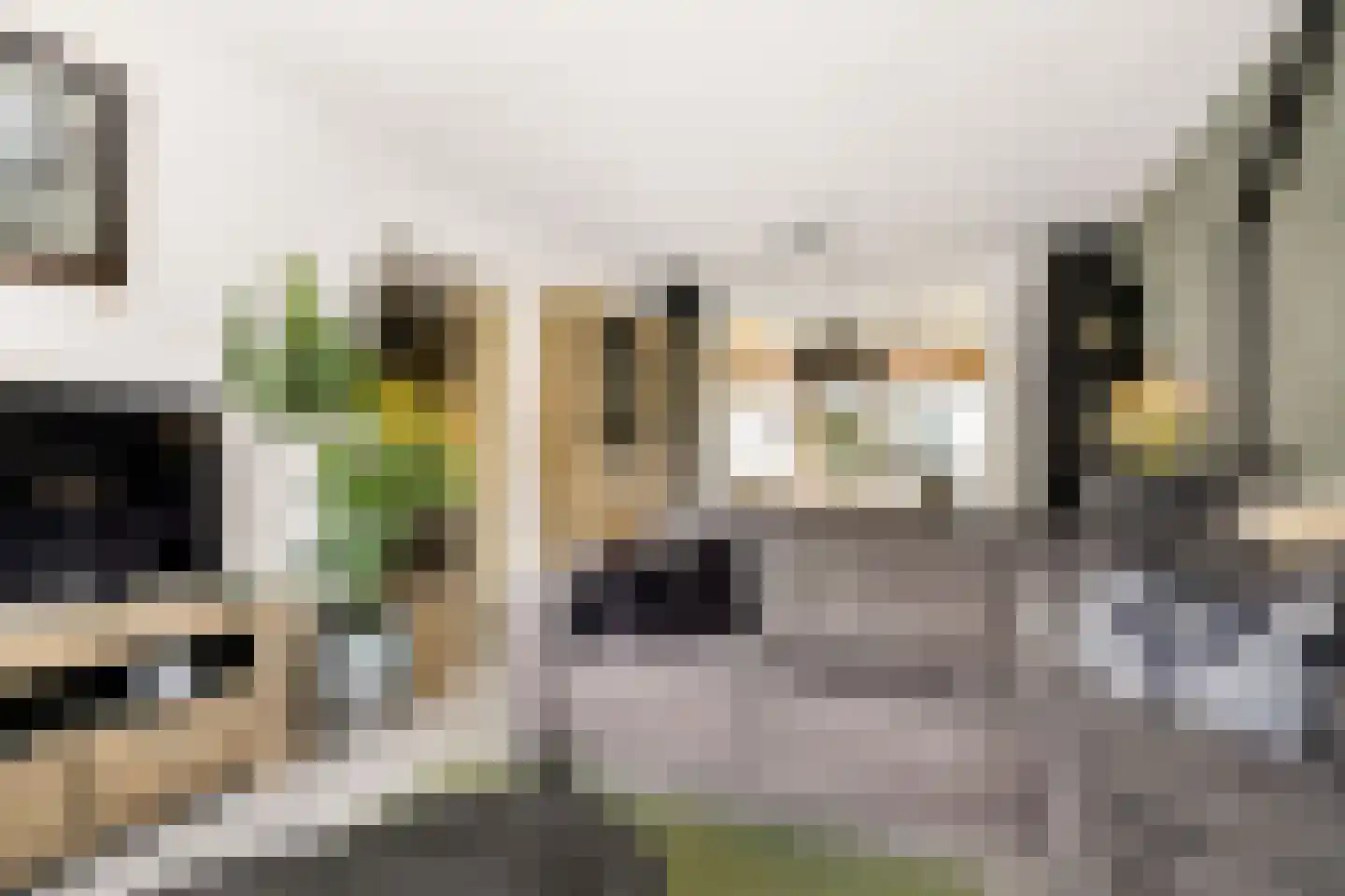 Hendrik Mesdagstraat 8 Helmond thumbnail 7