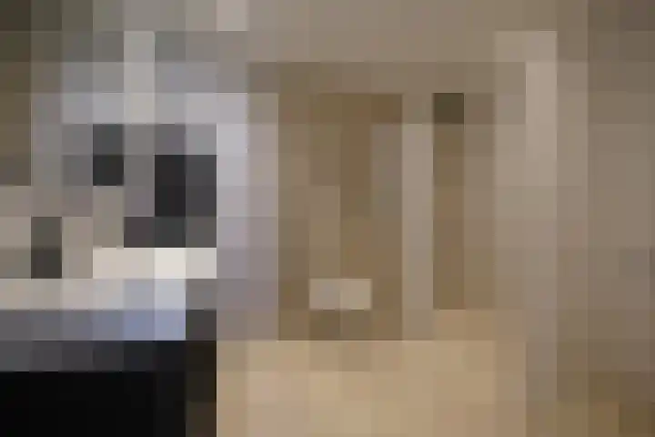 Hendrik Munniklaan 18 Ermelo thumbnail 20