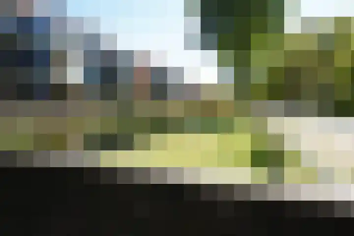 Hendrik Munniklaan 18 Ermelo thumbnail 32