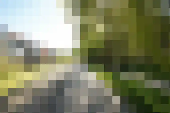 Hendrik Munniklaan 18 Ermelo thumbnail 34