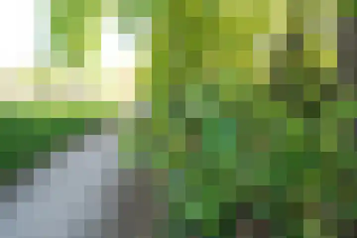 Hendrik Munniklaan 18 Ermelo thumbnail 35