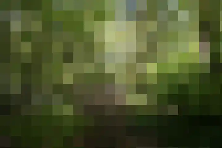 Hendrik Munniklaan 18 Ermelo thumbnail 36