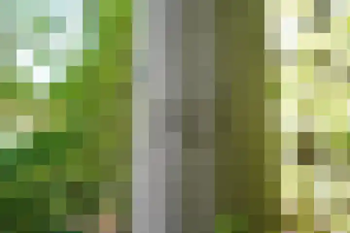 Hendrik Munniklaan 18 Ermelo thumbnail 37