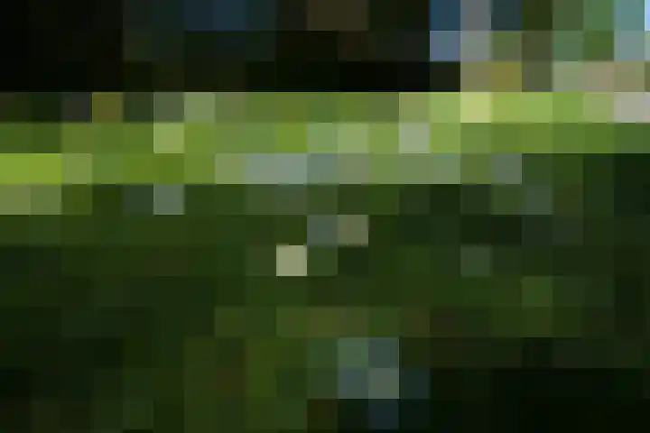 Hendrik Munniklaan 18 Ermelo thumbnail 39