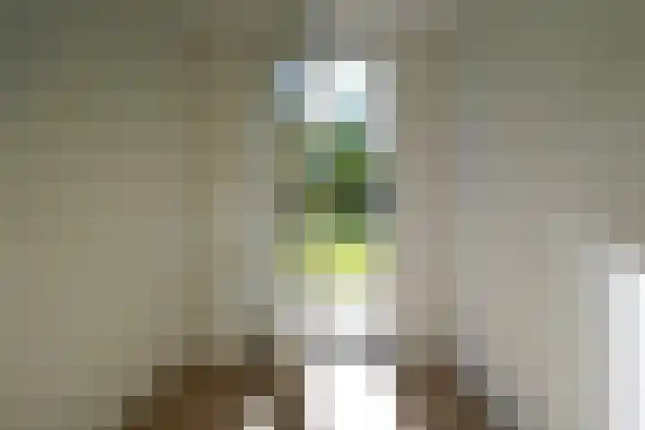 Hendrik Munniklaan 18 Ermelo thumbnail 4