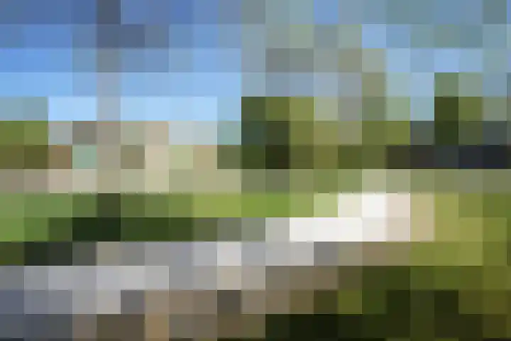 Hendrik Munniklaan 18 Ermelo thumbnail 40