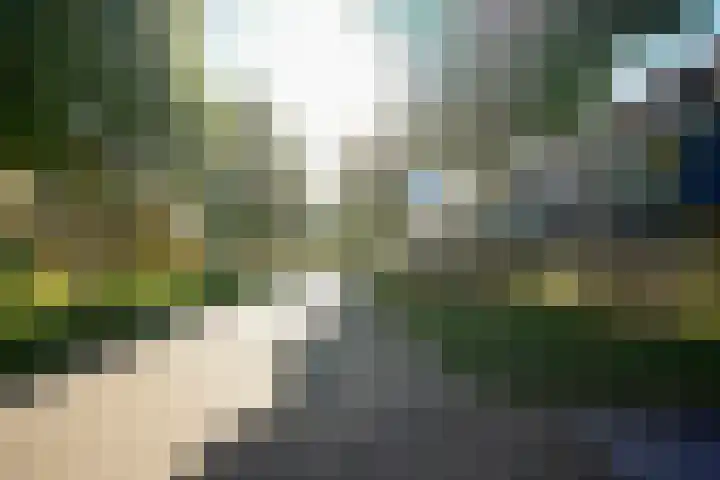 Hendrik Munniklaan 18 Ermelo thumbnail 41