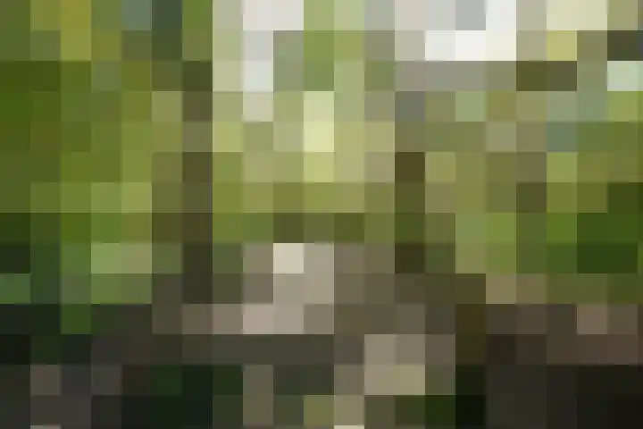 Hendrik Munniklaan 18 Ermelo thumbnail 43