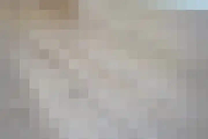 Hendrik Munniklaan 18 Ermelo thumbnail 7