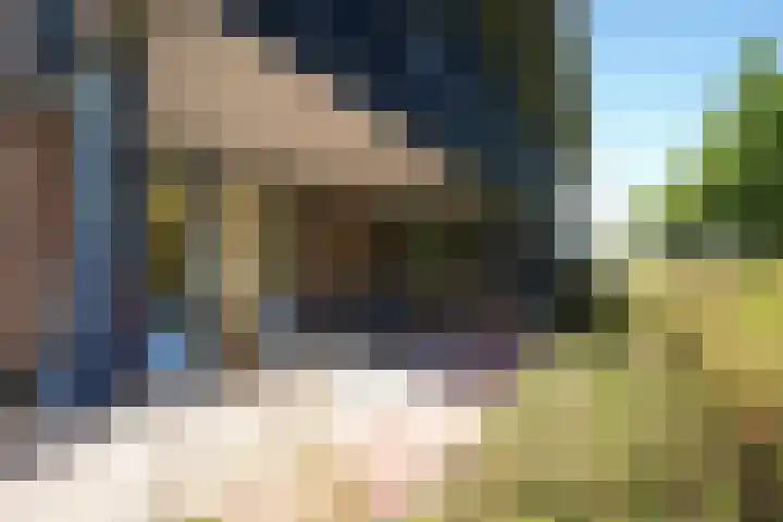 Hendrik Munniklaan 18 Ermelo thumbnail 8