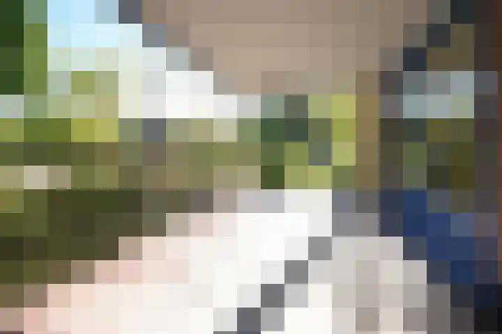 Hendrik Munniklaan 18 Ermelo thumbnail 9