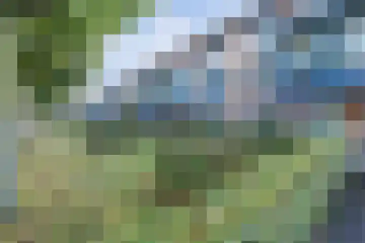 Hendrik Munniklaan 24 Ermelo thumbnail 29
