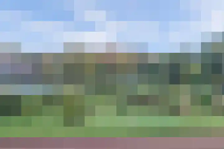 Hendrik Munniklaan 24 Ermelo thumbnail 33